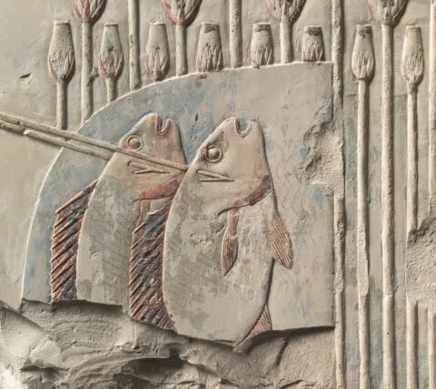 The Surprising Connection Between Gout and Squash: How This Vegetable Can